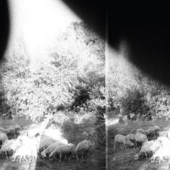 'Asunder, Sweet and Other Distress' (Full Album)