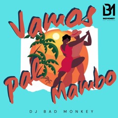 DJ Bad Monkey - Vamos Pal Mambo