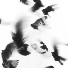 dark circle