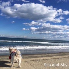 NYORAI 'Sea and Sky' Ep Mix