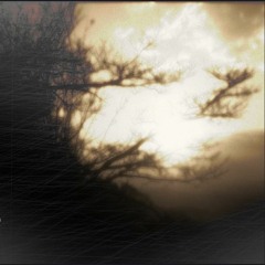 In Memoriam - The Last Winter