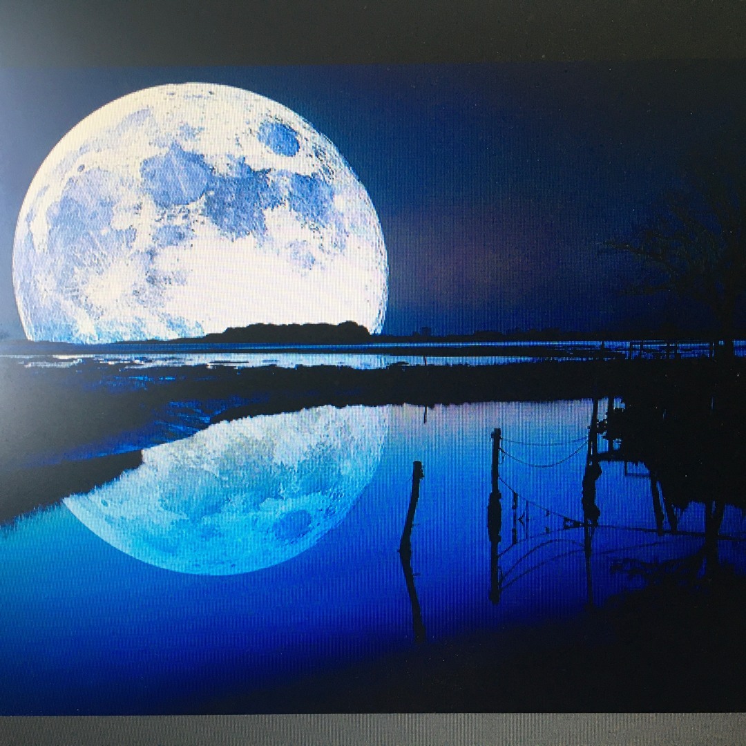 Blue Moon - cover - Lilly and Rose