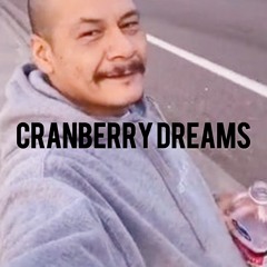 CRANBERRY DREAMS (prod. Disoriental)