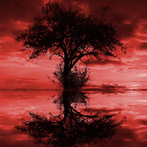 Маяк Кома -Совет