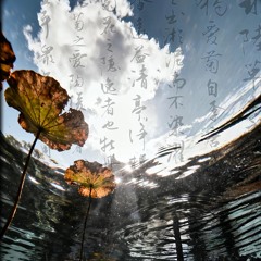 Tinh vệ (0.8x - DJ)