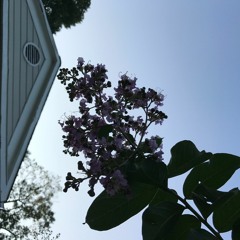 prelude - 5:24:18, 10.18 AM