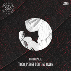 Lost In Ether | P R E M I E R E | Mattia Prete & Daniel Calvi – Stein [Jazz-O-Tech]