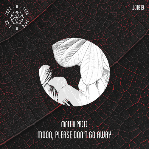 Lost In Ether | P R E M I E R E | Mattia Prete & Daniel Calvi – Stein [Jazz-O-Tech]