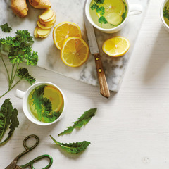 preparaciones herbolarias simples