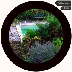 Piscina feat beata