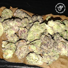 WHOLE LOTTA WEED w/ ENOKALYPSE