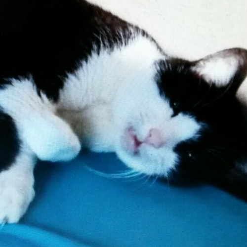 leftover light from yesterday (slowed and reverbed)