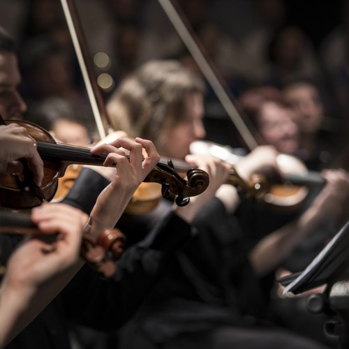 Orchestra