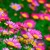 Artwork for Assat your background 🐭FREE DOWNLOAD