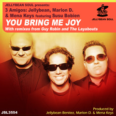 You Bring Me Joy (Guy Robin Remix) [feat. Susu Bobien]