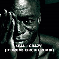 Seal - Crazy (D'Drums Circuit Remix)