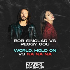 World, Hold On vs Na Na Na (Mark T Mashup) - Bob Sinclar vs Peggy Gou