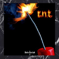 tnt [ƎͶOƎVIHƆЯA]