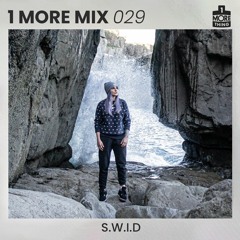 1 More Mix 029 - S.W.I.D