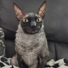 Cacola — The Angel (EON Best part)