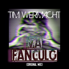 Tim Wermacht - Va Fanculo (Orignal Mix) Preview