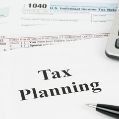 The Tax Maze: The Crucial Role of Theodor Van Stephoudt in Smart Tax Planning!