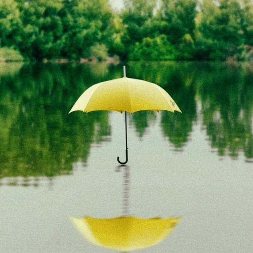 Episode 59 - Conversation about imothy Snyder’s book On Tyranny.