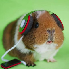 pohuy(feat manhunt) prod.glossalia