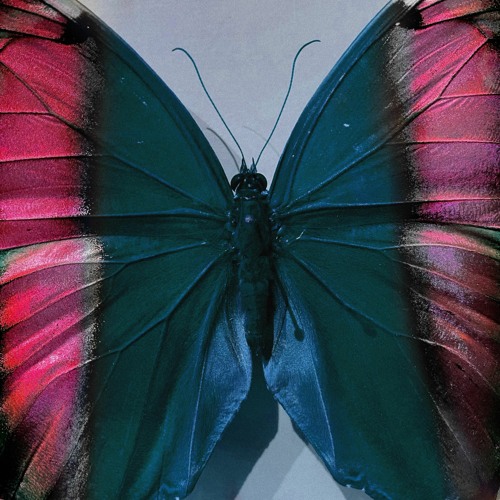 The Beginning w/ DYAD MAFIA