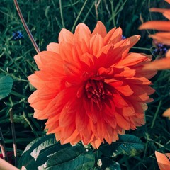 "For Tonight" by Giveon cover