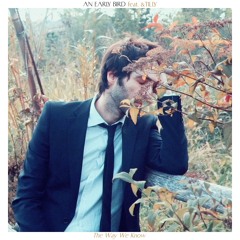 Golden Hour Acoustics ☀️🌙🌾🌊 Indie & Folk