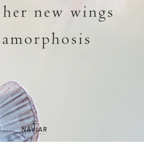New Wings_Naviarhaiku503