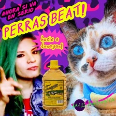 MISS ANTRÓPICA - Album Perras Beat/ DOWNLOAD BANDCAMP