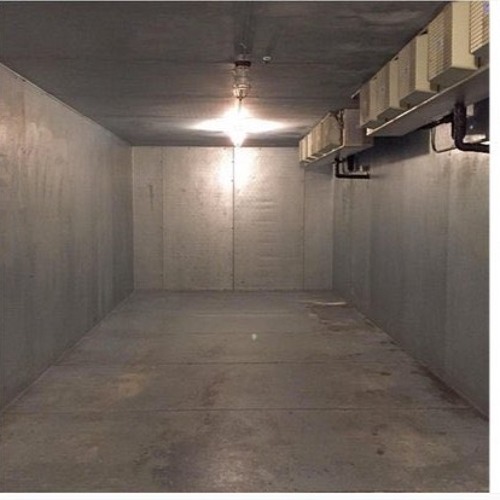 #326:  Comet Ping Pong and the Pegasus Museum with Ryan O'Neal