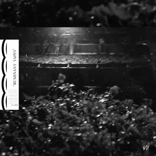 IDKLANG - Self-Optimize Pt. II Vitals