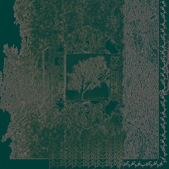 To Mesle Mahi (تو مثل ماهی)