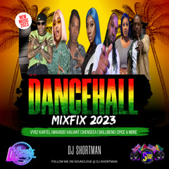 DANCEHALL VIBEZ 2023 MIXED BY DJ SHORTMAN