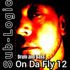 On Da Fly 12 (Full Spectrum Drum and Bass)