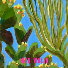 01 Gout Cactus
