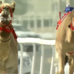 ‎⁨صالح ال مانعه | السيوف الست بطي⁩.m4a