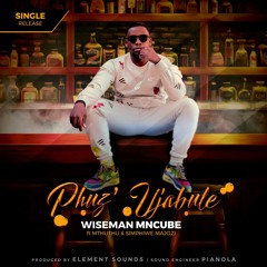 Phuz'Ujabule (feat. Mthuthu & Simphiwe Majozi)