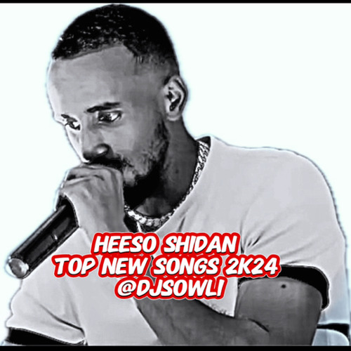 SOMALI RAP VS SOMALI RNB @djsowli TOP NEW 2k24 SONGS HEESO XUL AH