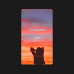 serotonin or sadness