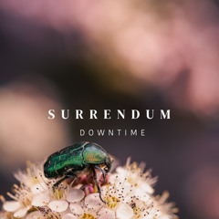Downtime