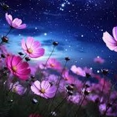 Spring Autumn Mix 2024