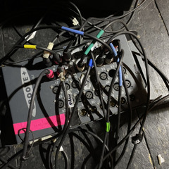 Cold blooded old times - Smog