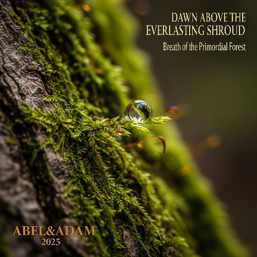 Breath of the Primordial Forest