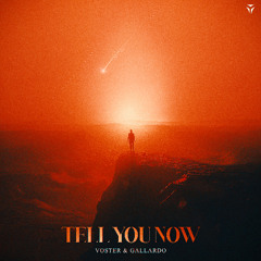 Voster & Gallardo - Tell You Now