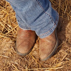 Dust on My Boots