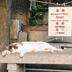 Snoop Dogg, Kurupt, Techniec, Bad Azz - Gold Rush